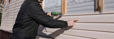 Best Siding Painting and Refinishing  in Terryville, NY